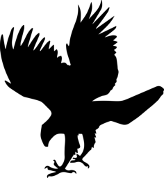 Hawk Bird Animal Shape Black And White Svg Vector, Free Vectors File